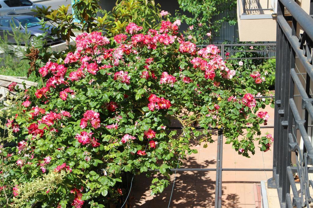 Flowers Apartments เนเซบาร์ ภายนอก รูปภาพ